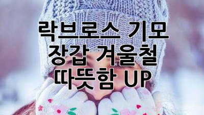 락브로스 기모 장갑: 겨울철 따뜻함 UP!