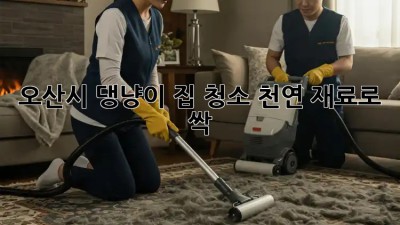 오산시 댕냥이 집 청소🧹 천연 재료로 싹! ✨