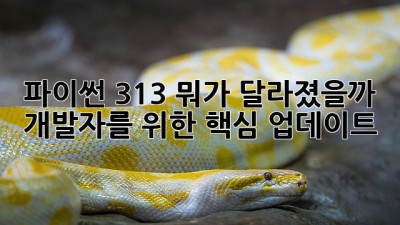 파이썬 3.13, 뭐가 달라졌을까? 🐍✨ 개발자를 위한 핵심 업데이트!